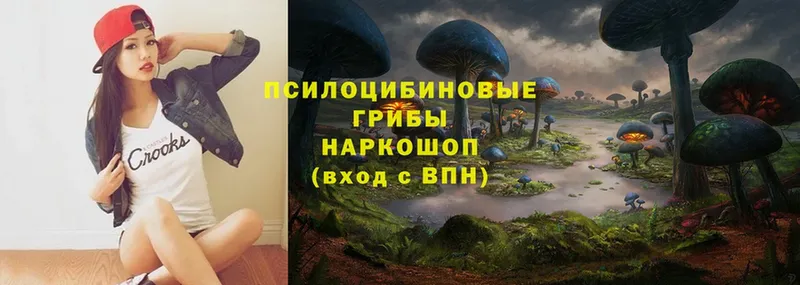 Галлюциногенные грибы Psilocybe  закладка  Красноуфимск 